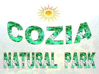 COZIA NATURAL  PARK 