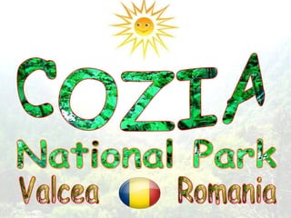 COZIA National Park Valcea  Romania 