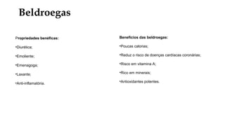 Beldroegas
Propriedades benéficas:
•Diurética;
•Emoliente;
•Emenagoga;
•Laxante;
•Anti-inflamatória.
Benefícios das beldroegas:
•Poucas calorias;
•Reduz o risco de doenças cardíacas coronárias;
•Risco em vitamina A;
•Rico em minerais;
•Antioxidantes potentes.
 