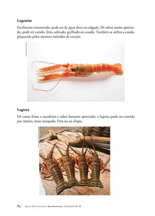 84	 Arco Ocupacional Gastronomia Cozinheiro 2
Lagostim
Facilmente encontrado, pode ser de água doce ou salgada. De sabor muito aprecia-
do, pode ser cozido, frito, salteado, grelhado ou assado. Também se utiliza a cauda,
preparada pelos mesmos métodos de cocção.
Lagosta
De carne firme e suculenta e sabor bastante apreciado, a lagosta pode ser comida
por inteiro, num ensopado, frita ou na chapa.
©FoodCollection/Diomedia
©ChristianKnepper/OpçãoBrasilImagens
 