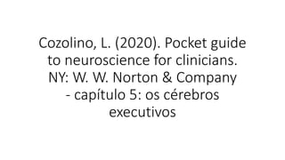 Cozolino, L. (2020). Pocket guide
to neuroscience for clinicians.
NY: W. W. Norton & Company
- capítulo 5: os cérebros
executivos
 
