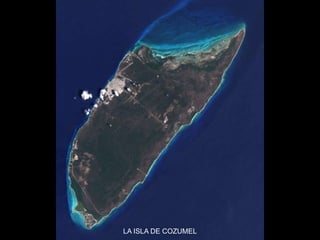 LA ISLA DE COZUMEL