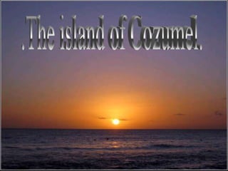 .The island of Cozumel. 