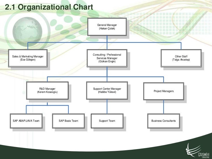 Sanofi Organizational Chart