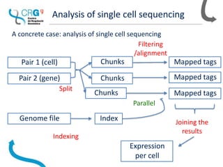 Analysis of single cell sequencing
A concrete case: analysis of single cell sequencing
Pair 1 (cell)
Chunks
Chunks
Chunks
Split
Filtering
/alignment
Parallel
Mapped tags
Mapped tags
Mapped tags
Joining the
results
Genome file
Indexing
Index
Pair 2 (gene)
Expression
per cell
 