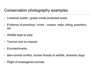 Conservation photography examples
• Livestock (cattle / goats) inside protected areas
• Evidence of poaching / crime – sna...