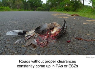 Roads without proper clearances
constantly come up in PAs or ESZs
Photo: Anon
 