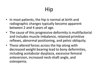 Hip
• In most patients, the hip is normal at birth and
radiographic changes typically become apparent
between 2 and 4 years of age.
• The cause of this progressive deformity is multifactorial
and includes muscle imbalance, retained primitive
reflexes, abnormal positioning, and pelvic obliquity.
• These altered forces across the hip along with
decreased weight bearing lead to bony deformities,
including acetabular dysplasia, excessive femoral
anteversion, increased neck-shaft angle, and
osteopenia.
 