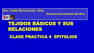 CLASE PRACTICA 4 EPITELIOS
Clase Practica 3 LOS
TEJIDOS BÁSICOS Y SUS
RELACIONES
Dra. Lizette María Acosta Ulloa
Docente Universidad del Sinu
 
