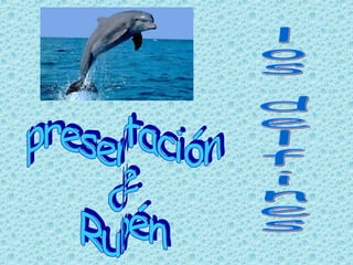 presentación de Rubén los delfines 
