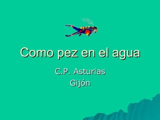 Como pez en el agua C.P. Asturias Gijón 