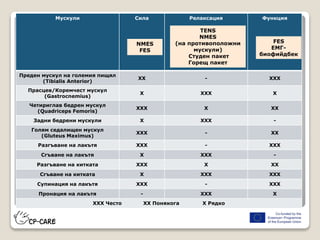 Мускули Сила Релаксация Функция
Преден мускул на големия пищял
(Tibialis Anterior)
XX - XXX
Прасцев/Коремчест мускул
(Gastrocnemius)
X XXX X
Четириглав бедрен мускул
(Quadriceps Femoris)
XXX X XX
Задни бедрени мускули X XXX -
Голям седалищен мускул
(Gluteus Maximus)
XXX - XX
Разгъване на лакътя XXX - XXX
Сгъване на лакътя X XXX -
Разгъване на китката XXX X XX
Сгъване на китката X XXX XXX
Супинация на лакътя XXX - XXX
Пронация на лакътя - XXX X
XXX Често XX Понякога X Рядко
NMES
FES
TENS
NMES
(на противоположни
мускули)
Студен пакет
Горещ пакет
FES
ЕМГ-
биофийдбек
 