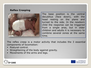 The base position is the ventral
decubitus (face down), with the
head resting on the plane and
turned to the side. In the newborn
child the response can be triggered
from a single area, but in older
children and adults it is necessary to
combine several zones at the same
time.
Reflex Creeping
The reflex creep is a motor activity that includes the 3 essential
components of locomotion:
 Postural control.
 Straightening of the body against gravity.
 Movements of the arms and legs.
 