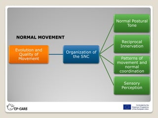 Evolution and
Quality of
Movement
Organization of
the SNC
Normal Postural
Tone
Reciprocal
Innervation
Patterns of
movement and
normal
coordination
Sensory
Perception
NORMAL MOVEMENT
 