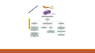 Alteration
of
Ion
exchanges
 