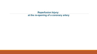 Reperfusion Injury:
at the re-opening of a coronary artery
 