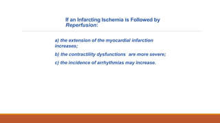 If an Infarcting Ischemia is Followed by
Reperfusion:
a) the extension of the myocardial infarction
increases;
b) the contractility dysfunctions are more severe;
c) the incidence of arrhythmias may increase.
 