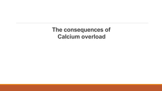 The consequences of
Calcium overload
 