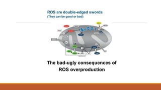 ROS are double-edged swords
(They can be good or bad)
The bad-ugly consequences of
ROS overproduction
 
