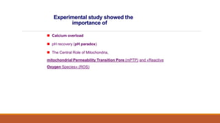 Experimental study showed the
importance of
 Calcium overload
 pH recovery (pH paradox)
 The Central Role of Mitochondria,
mitochondrial Permeability Transition Pore (mPTP) and «Reactive
Oxygen Species» (ROS)
 