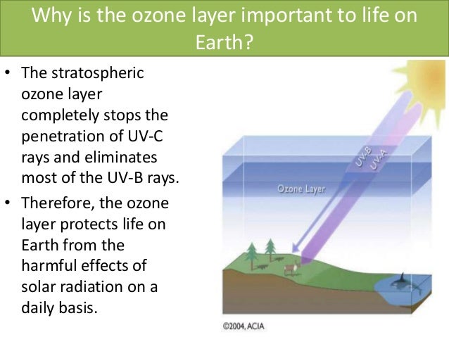 an overview of the potential effects of a depleted ozone layer Essay the potential effects of a depleted ozone layer - detrykowski and god said, let there be light and there was light and then god saw the light, that it was good ( genesis 1: 3-4 ). an overview of the potential effects of a depleted ozone layer Essay the potential effects of a depleted ozone layer - detrykowski and god said, let there be light and there was light and then god saw the light, that it was good ( genesis 1: 3-4 ).