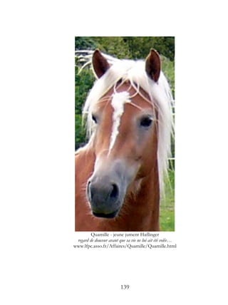 Quamille - jeune jument Haflinger
 regard de douceur avant que sa vie ne lui ait été volée…
www.lfpc.asso.fr/Affaires/Quamille/Quamille.html




                          139
 