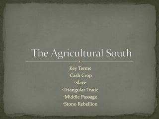 Key Terms
•Cash Crop
•Slave
•Triangular Trade
•Middle Passage
•Stono Rebellion
 