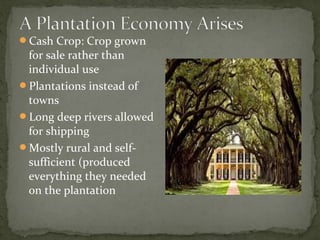 Cash Crop: Crop grown
for sale rather than
individual use
Plantations instead of
towns
Long deep rivers allowed
for shipping
Mostly rural and self-
sufficient (produced
everything they needed
on the plantation
 