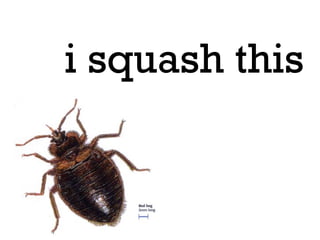 i squash this
 