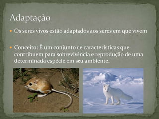  Os seres vivos estão adaptados aos seres em que vivem
 Conceito: É um conjunto de características que
contribuem para sobrevivência e reprodução de uma
determinada espécie em seu ambiente.
 