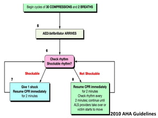 2010 AHA Guidelines
 