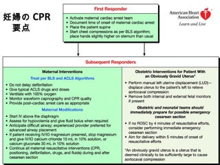 28
妊婦の CPR
　要点
 