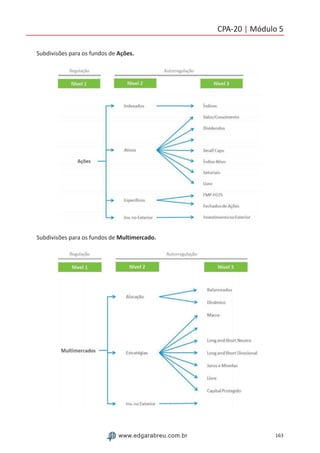 163www.edgarabreu.com.br
CPA-20 | Módulo 5
Subdivisões para os fundos de Ações.
Subdivisões para os fundos de Multimercado.
 