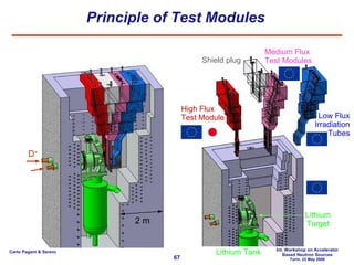 Principle of Test Modules 2 m D + Medium Flux Test Modules High Flux Test Module Low Flux Irradiation Tubes Lithium Target Lithium Tank Shield plug 