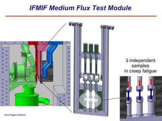 IFMIF Medium Flux Test Module 3 independent samples in creep fatigue 