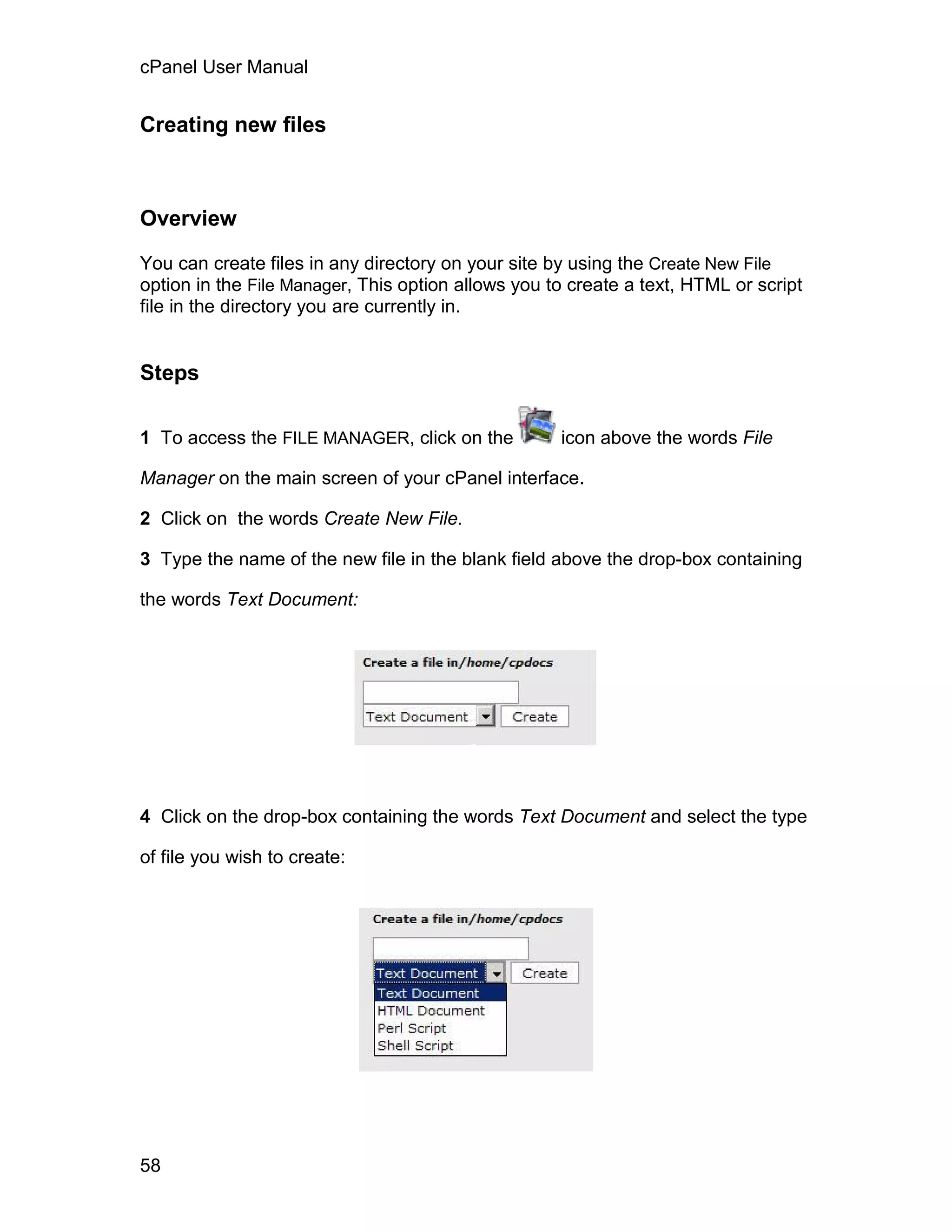 cPanel User Manual


Creating new files



Overview

You can create files in any directory on your site by using the Create New File
option in the File Manager, This option allows you to create a text, HTML or script
file in the directory you are currently in.


Steps

1 To access the FILE MANAGER, click on the          icon above the words File

Manager on the main screen of your cPanel interface.

2 Click on the words Create New File.

3 Type the name of the new file in the blank field above the drop-box containing

the words Text Document:




4 Click on the drop-box containing the words Text Document and select the type

of file you wish to create:




58
 
