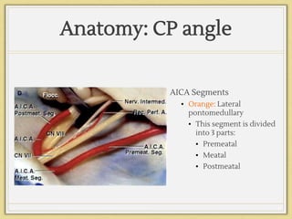Anatomy: CP angle
AICA Segments
▪ Orange: Lateral
pontomedullary
▪ This segment is divided
into 3 parts:
▪ Premeatal
▪ Meatal
▪ Postmeatal
 