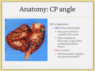 Anatomy: CP angle
AICA Segments
▪ Blue: Flocculonodular
▪ May pass rostral or
caudal to flocculus
▪ Often hidden by
flocculus or lips of the
cerebellopontinue
fissure
▪ Red: Cortical
▪ Predominantly supplies
the petrosal surface
 