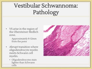 Vestibular Schwannoma:
Pathology
• VS arise in the region of
the Obersteiner-Redlich
zone.
• Approximately 8-12mm
from the pons
• Abrupt transition where
oligodendrocyte myelin
meets Schwann cell
myelin.
• Oligodendrocytes stain
lighter than Schwann
cells
 