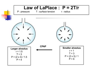 Larger alveolus
r = 1.5
T = 3
P = (2 x 3) / 1.5
P = 4
Smaller alveolus
r = 1
T = 3
P = (2 x 3) / 1
P = 6
CPAP
Law of LaPlace : P = 2T/r
P : pressure T : surface tension r : radius
 