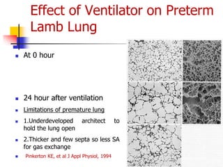 Effect of Ventilator on Preterm
Lamb Lung
 At 0 hour
 24 hour after ventilation
 Limitations of premature lung
 1.Underdeveloped architect to
hold the lung open
 2.Thicker and few septa so less SA
for gas exchange
 Pinkerton KE, et al J Appl Physiol, 1994
 