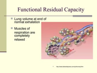 Functional Residual Capacity
 Lung volume at end of
normal exhalation
 Muscles of
respiration are
completely
relaxed
 http://www.lakesidepress.com/pulmonary/htm
 