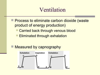 Ventilation
 Process to eliminate carbon dioxide (waste
product of energy production)
 Carried back through venous blood
 Eliminated through exhalation
 Measured by capnography
 