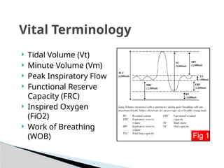 CPAP for Basic Life Support Providers... | PPTX