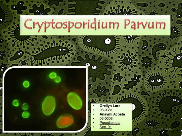 Cryptosporidium Parvum | PPT