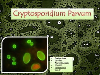 Cryptosporidium Parvum ,[object Object]