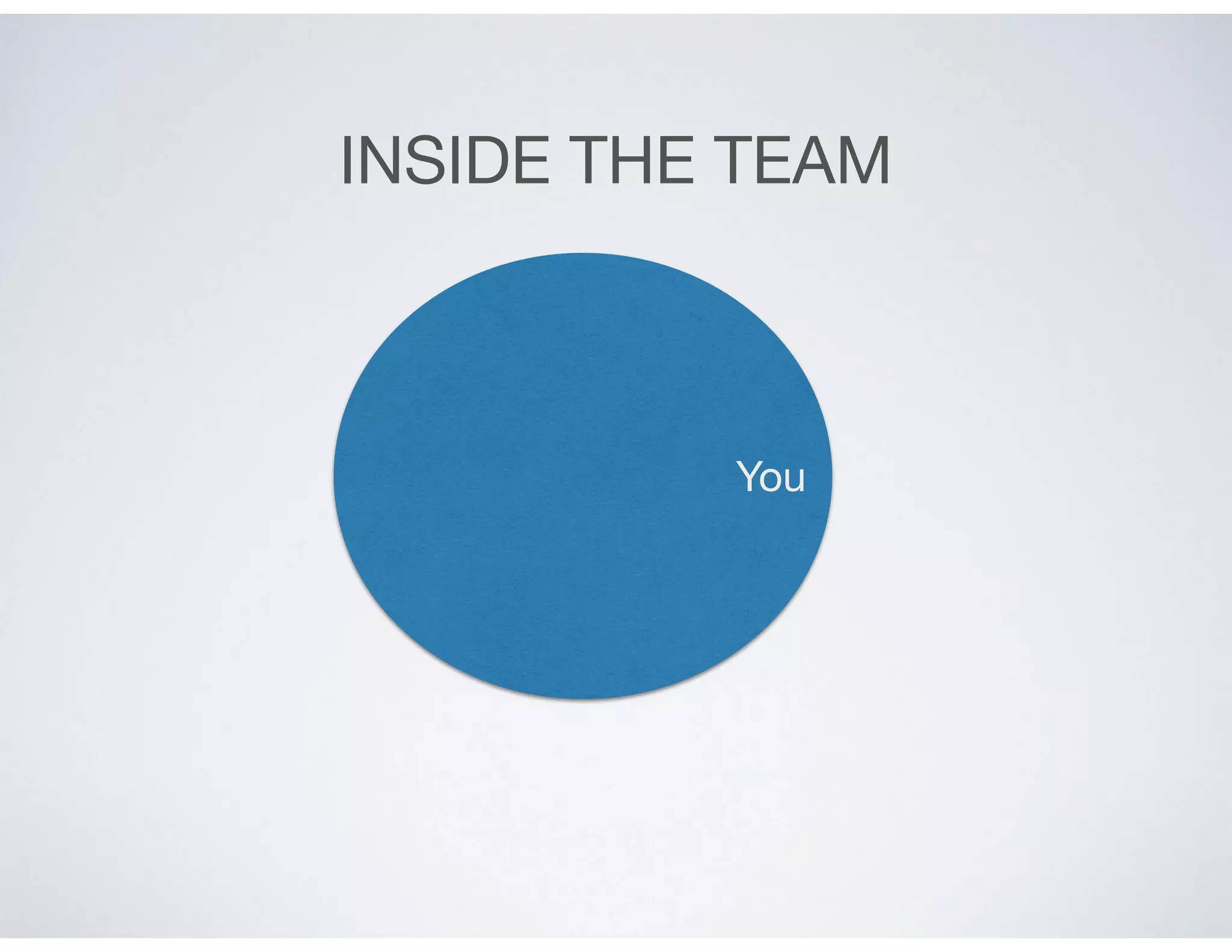INSIDE THE TEAM
You
 