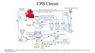 CPB_a36e3db6-de40-4cad-a1b6-c46bb42d62b2.pptx