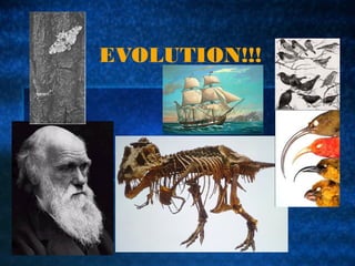 EVOLUTION!!!
 