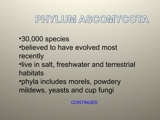 •30,000 species
•believed to have evolved most
recently
•live in salt, freshwater and terrestrial
habitats
•phyla includes morels, powdery
mildews, yeasts and cup fungi
CONTINUED
 